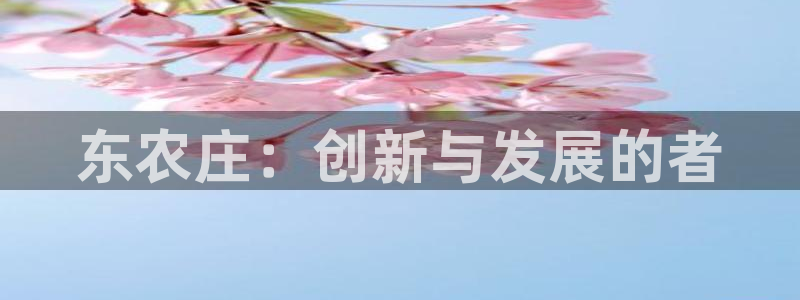 天辰娱乐平台登录账号