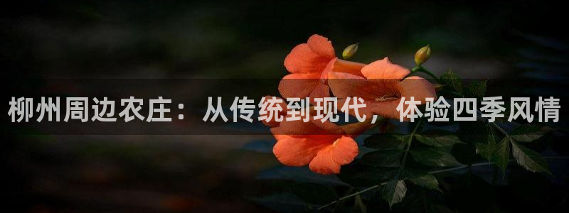 手机上怎么下载天辰娱乐