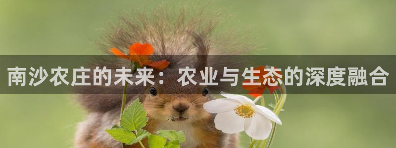 天辰娱乐注册登录