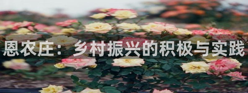 天辰娱乐下载链接