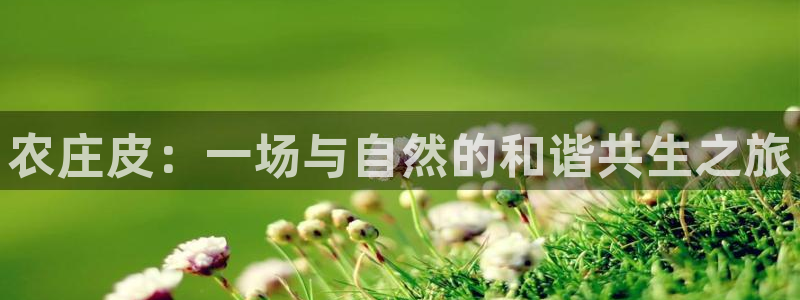 天辰娱乐总管年薪