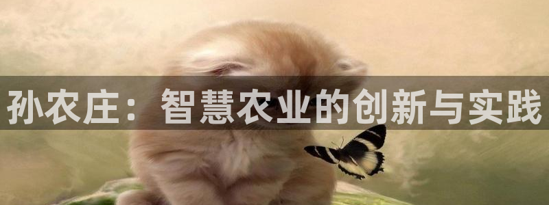 天富娱乐天辰娱乐