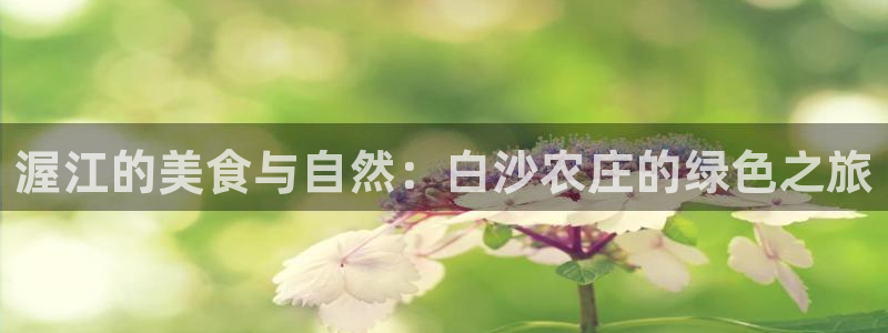 天辰娱乐厕所
