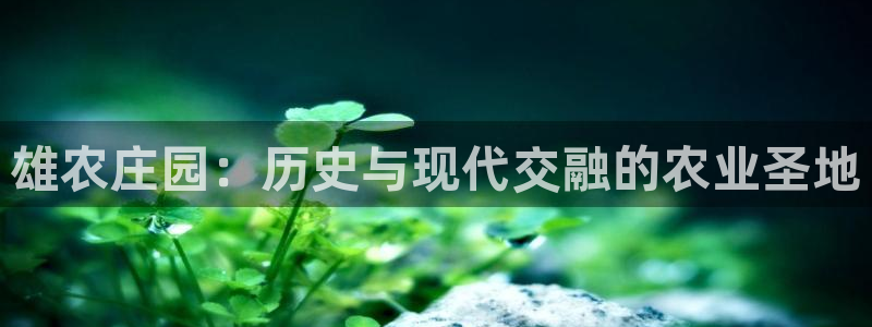 天辰娱乐下载地址