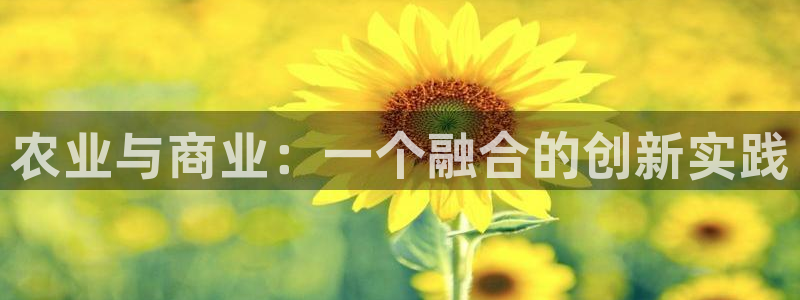 天辰娱乐下载地址