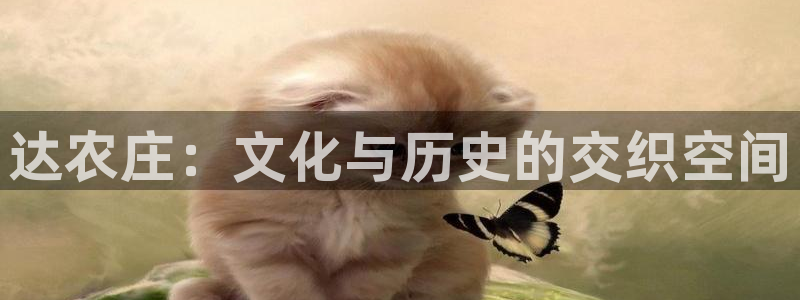 天辰娱乐登陆平台