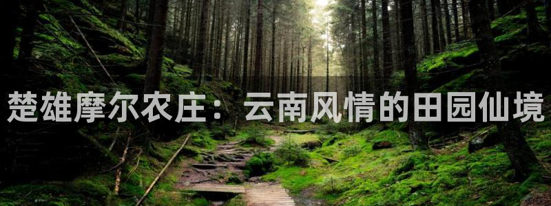 南充天辰娱乐