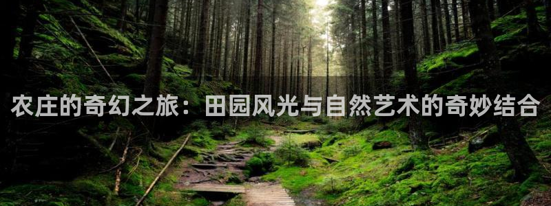 天辰娱乐会员