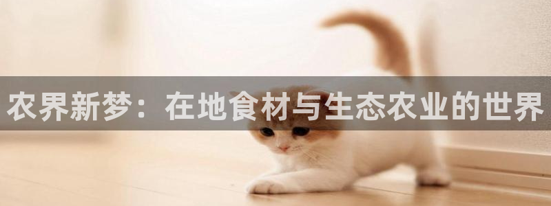 天辰彩票娱乐