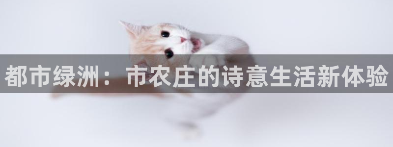 桂林天辰娱乐