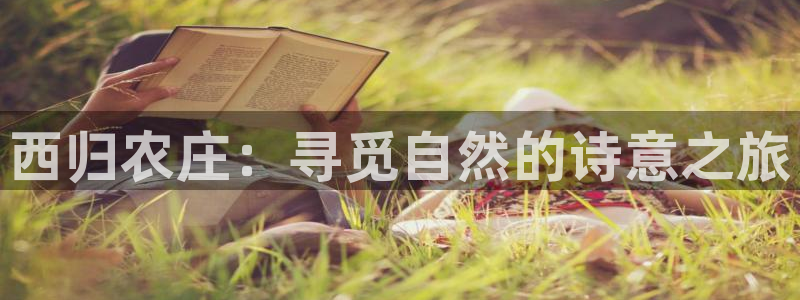 天辰娱乐新闻