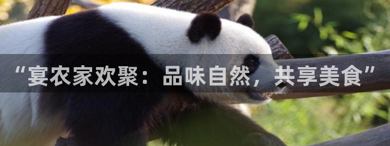 辰天娱乐