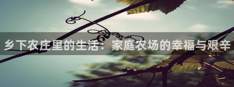 深圳天辰娱乐