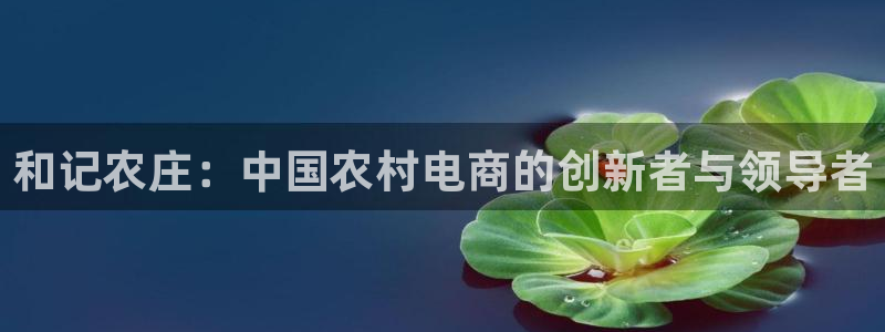 天辰娱乐1980
