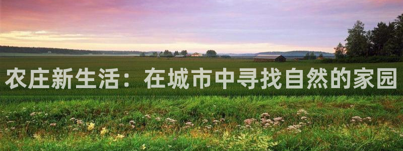 天辰娱乐代理