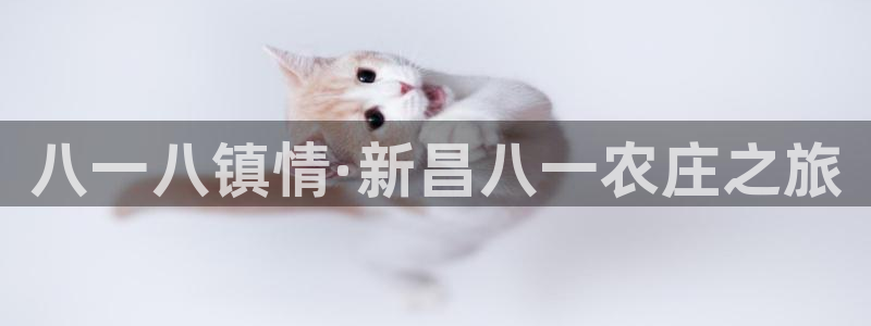 天辰娱乐天辰注册登录
