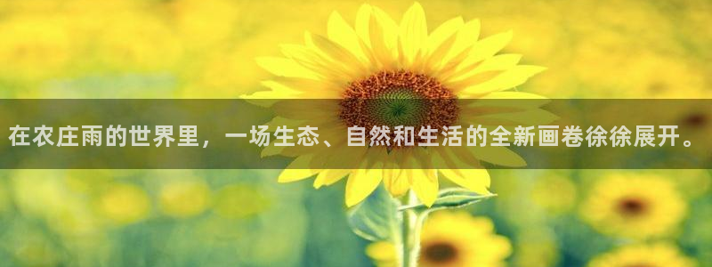 天辰娱乐待遇